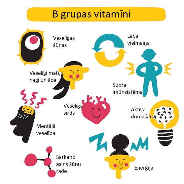 Iepazīstam B vitamīnu