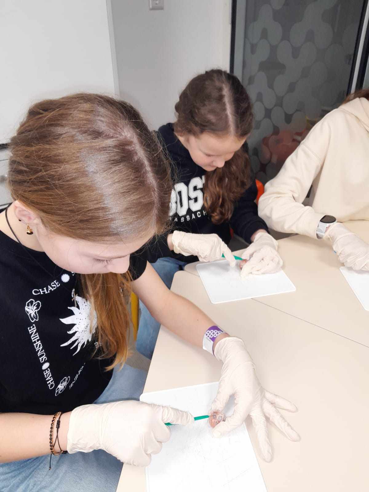 5.l izzina zinātnes centru AHHAA